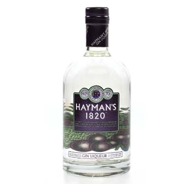 Gin licor Haymans 1820 70 cl